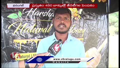 Harshavardhana Success In Organic Honey Bee Farming | Warangal | V6 News
