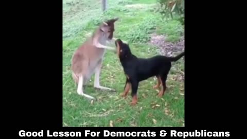 Good Lesson For Democrats & Republicans: Not a Dog & Pony Show