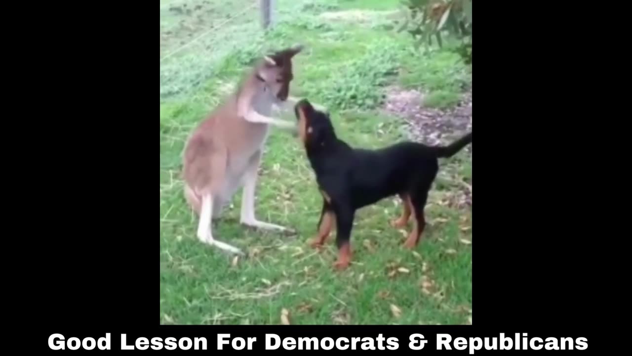 Good Lesson For Democrats & Republicans: Not a Dog & Pony Show