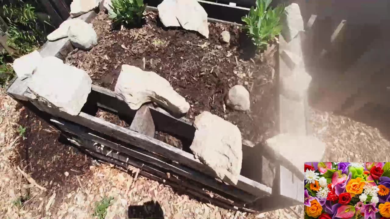 Garden update