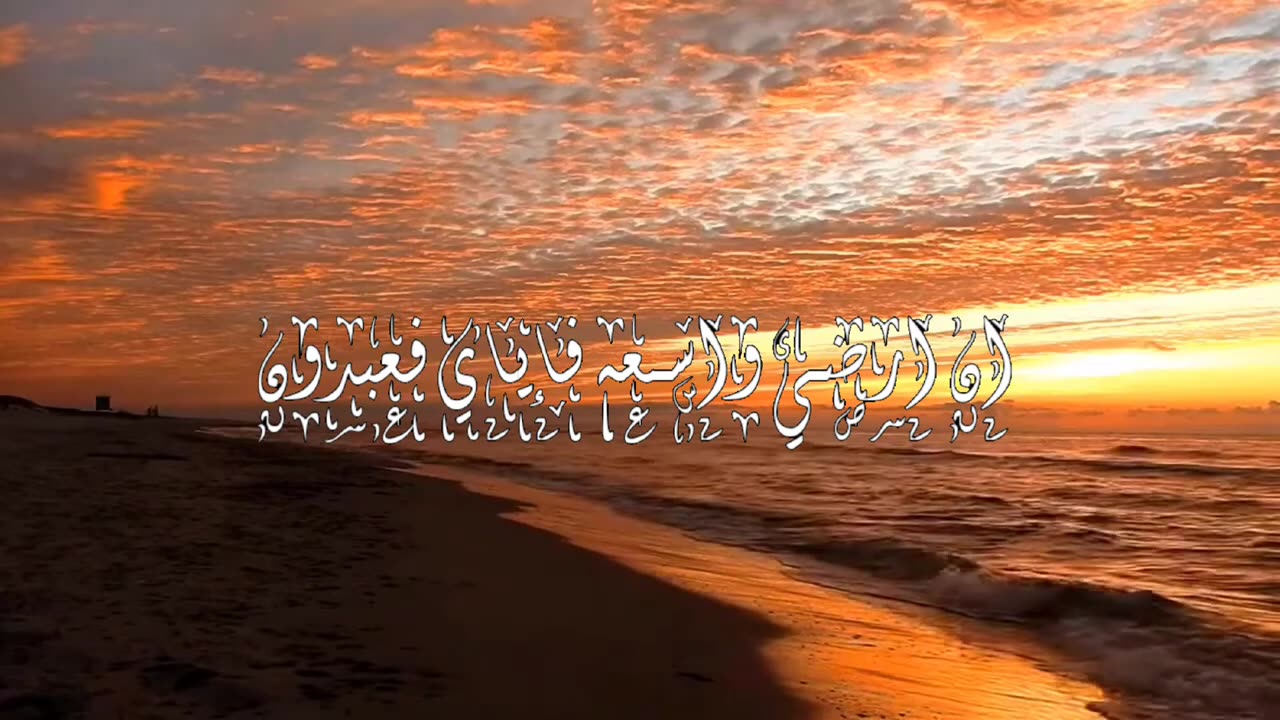 يـاعـبـادي الـذين آمـنـو أن ارضـي واسـعـةٌ عبد الرحمن مسعد
