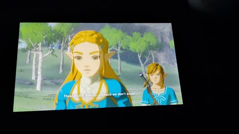 Legend of Zelda:Breath Of The Wild:Resolve and Grief