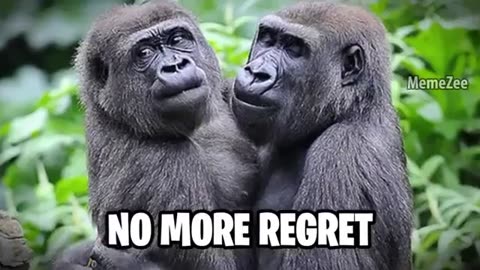 #epic #funny #memes #cute #uppermoons