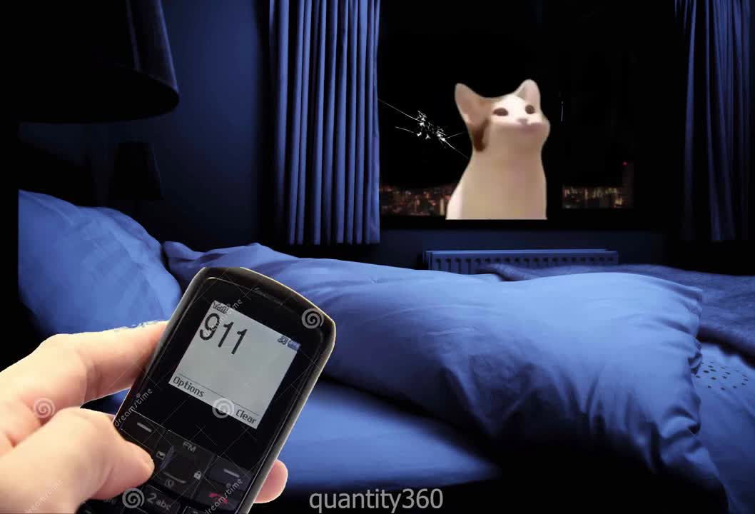 Pop Cat ...