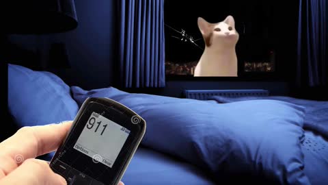 Pop Cat ...