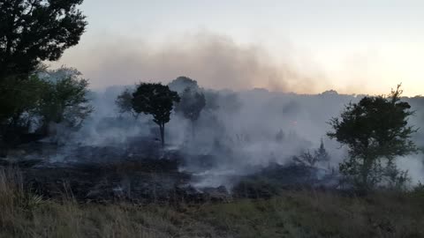 Viento Segundo brushfire #4