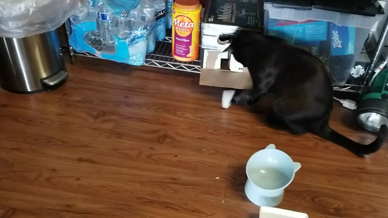 20241118 102938 Tux Playing with a Pouch Strip