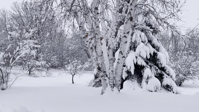 What a nice playground