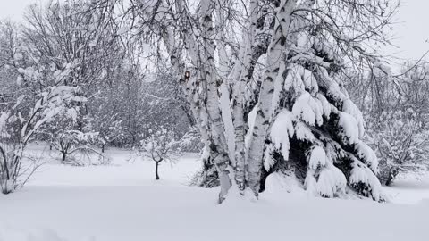 What a nice playground