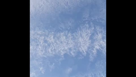 What's going on with the?........