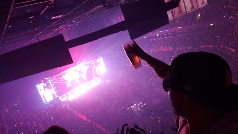 Legal Latino Despacito at Daddy Yankee Concert