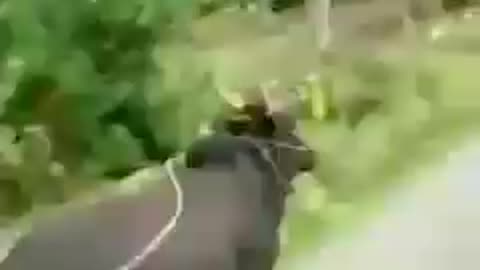 Funny moment caught