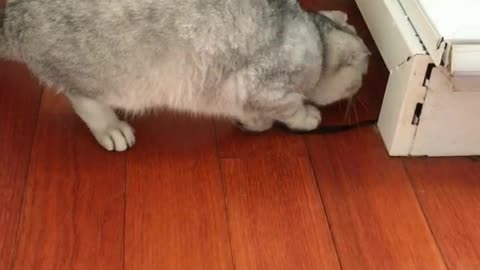 Let me see what's in there!