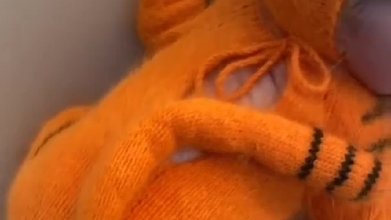 Little tiger🐯