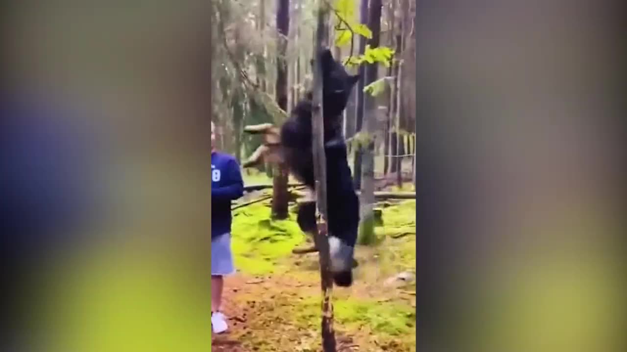 The Funniest Animal Vids You Can't Miss๐๐๐ From Cute to Hilarious๐๐๐Funny Memes Compilation ๐๐๐