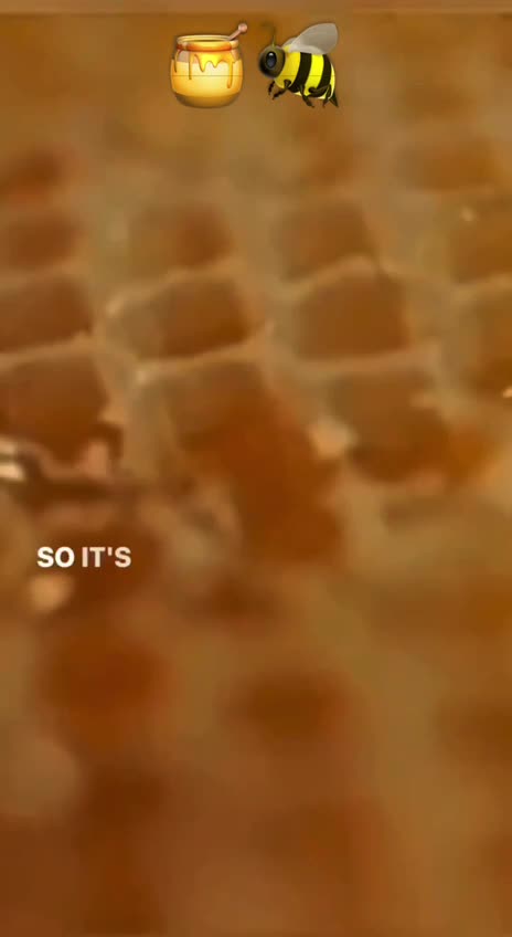 Miraculous bees! ❤️