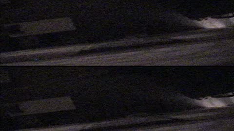 4002BGCO01WestHall_2021-01-05_04h00min01s327ms.mp4