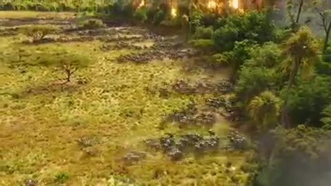 Avengers Infinity War Final Battle Thanos Vs Avengers Wakanda Fight Scenes And Ending