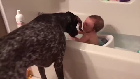 Where Are You Looking At? Funniest Baby Bath Time LOL ! Cute Video