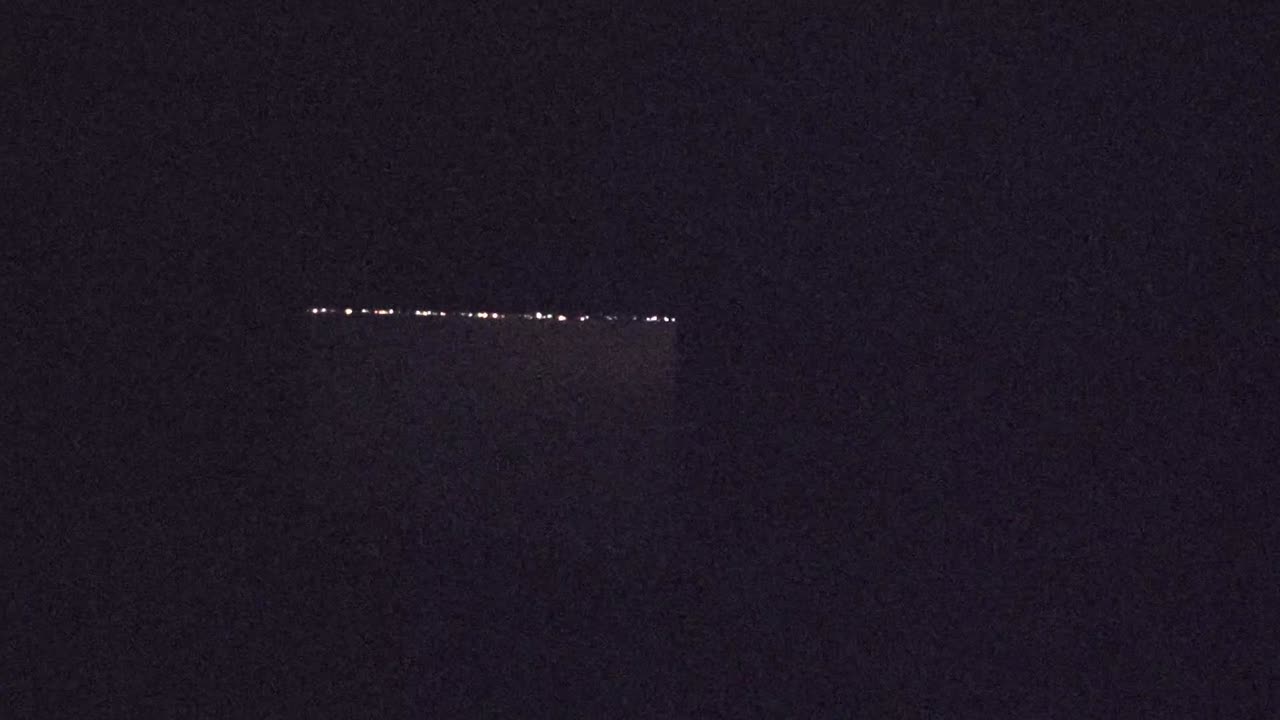 Coyote-Shepherd-Bully Hybrids howling