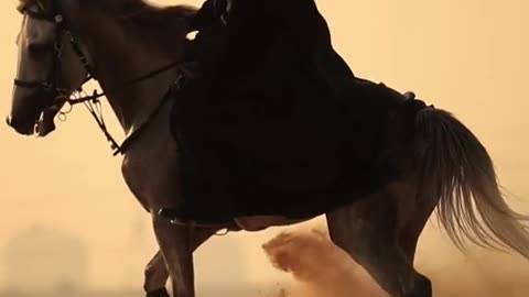 I love this horse 🐴🐴🐴8 /8/2023