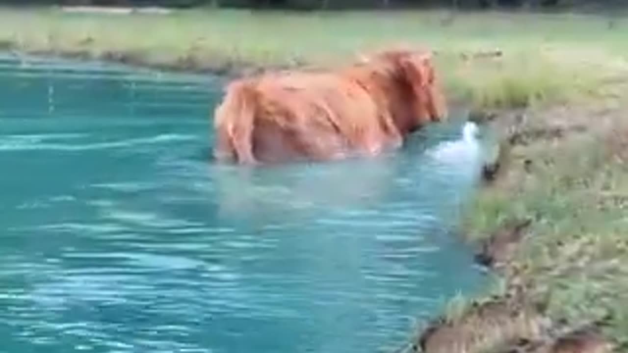 The way they BOTH just rolled out on her😅