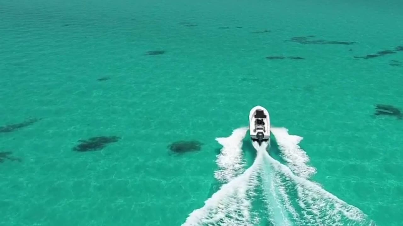 Fearless Sportfishing Charters with Captain Joe Hendrix in Islamorada, Florida Keys