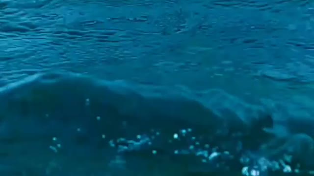 البحر الجميل