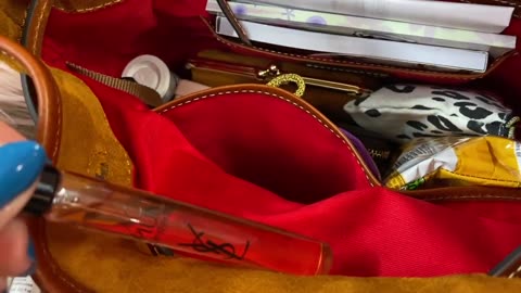 What's in my Dooney & Bourke Suede Drawstring Bag in Honey.
