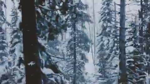 Justin_Bieber_-_Company