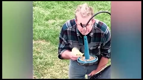 #funny video #viral video #funny movement