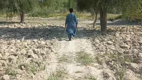 Balochistan agricultural