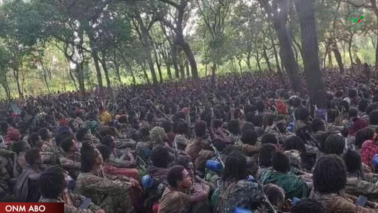 Qophii Arraata Biyyoolessa Oromiyaa Adoolessa 11, 2023