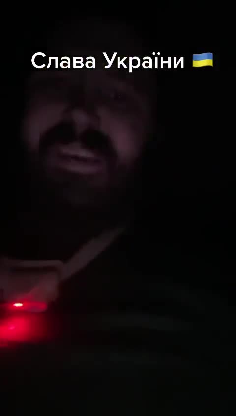 They Just Walk Out of the Woods And Surrender