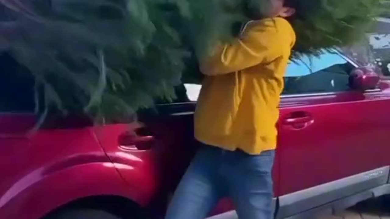 Magic video