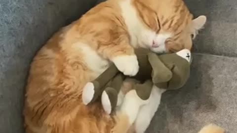 Sweet dreams little one 😊😊👍
