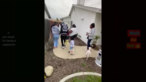 Incredible Funny Moments Video