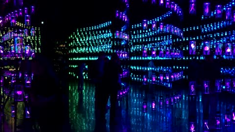 A look inside Dubai's Museum of the Future