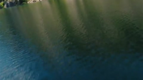 Gliding across the lake 🛶