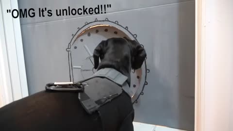 Tom Crusoe in Wiener Impossible!