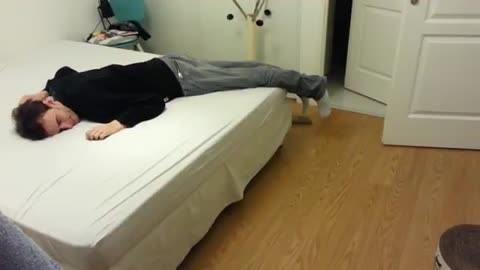 How my cat react when I faking death