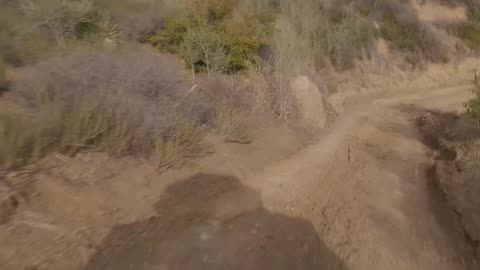 Pushing Limits: Romain's Incredible Ascent with Porsche