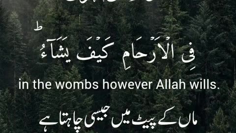 Morning tilawah with Beautiful voice