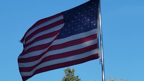 SPONTANEOUS RECITATION of the PLEDGE of ALLEGIANCE