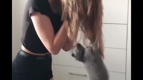 Funny Animal Videos 2022 😂😂😂😍😍