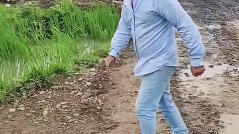 Funny videos