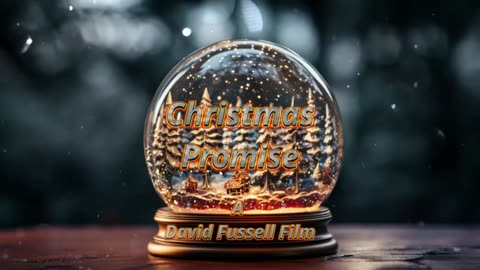 Christmas Promise