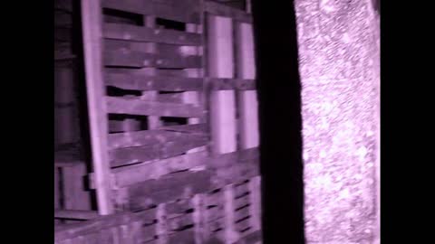 Night Stalking At Blast Camp