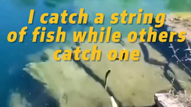 I catch a string of fish while others catch one