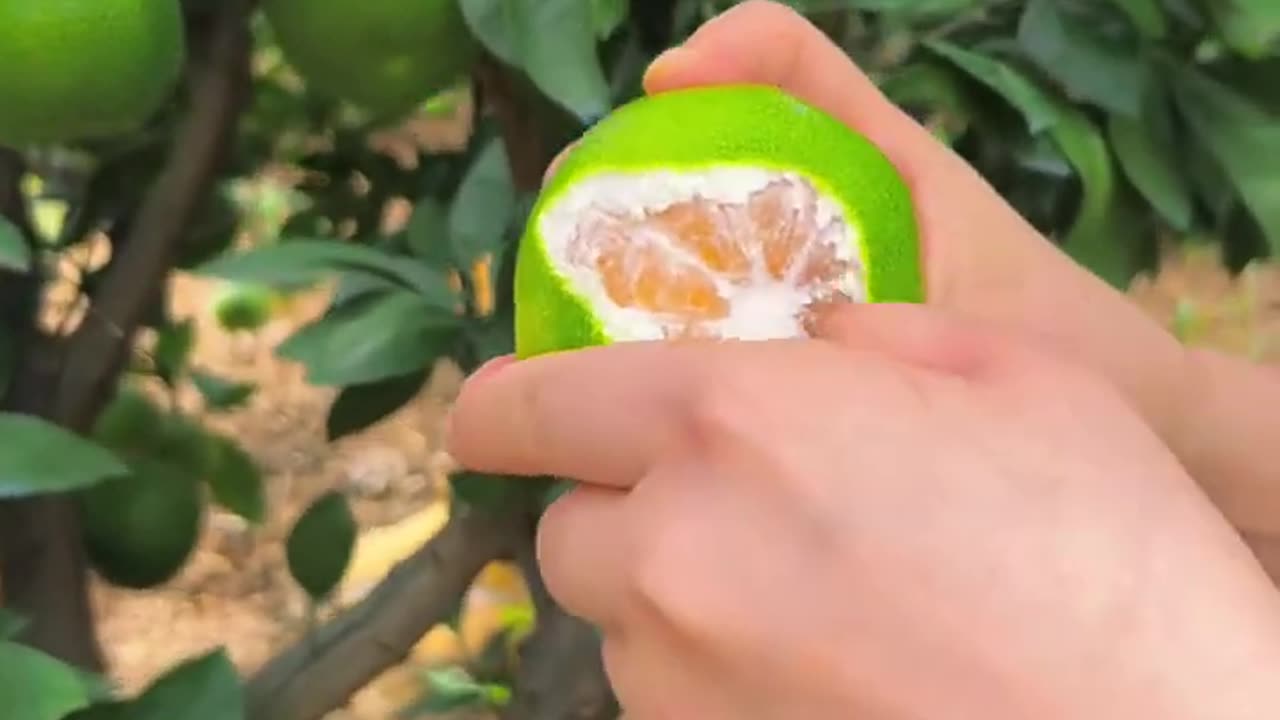 Brown Sugar Fruit